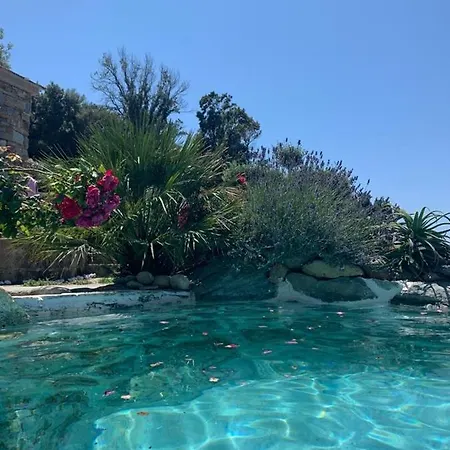 Maison De Charme Avec Piscine Privee Pino