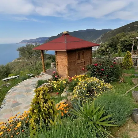 Maison De Charme Avec Piscine Et Jacuzzi * Pino