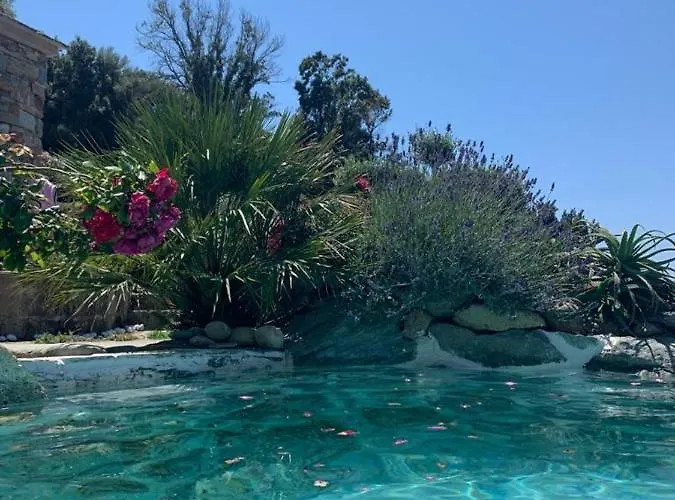 Maison De Charme Avec Piscine Privee Pino